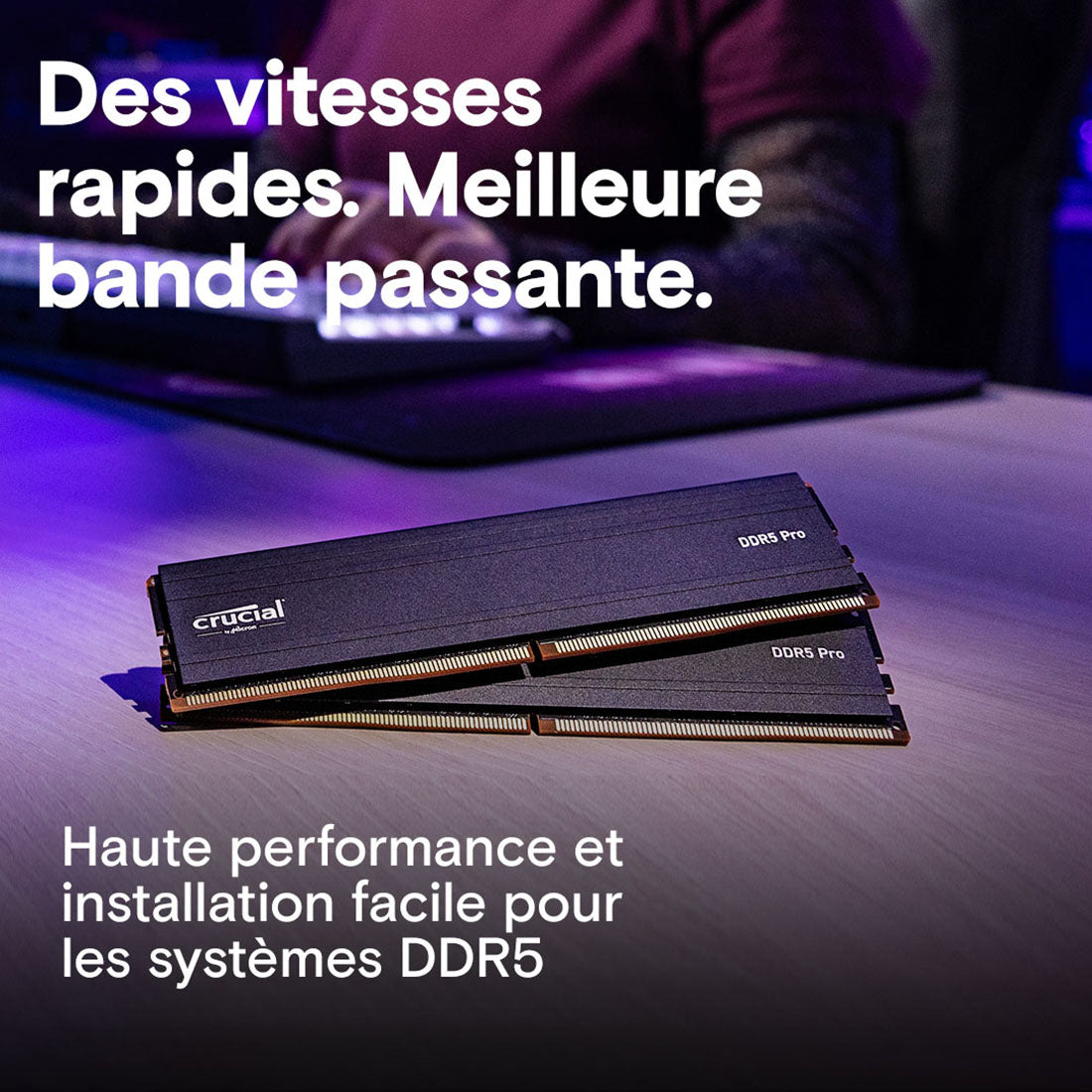 Crucial - PRO DDR5 6000MT/s CL48 (16 Go)