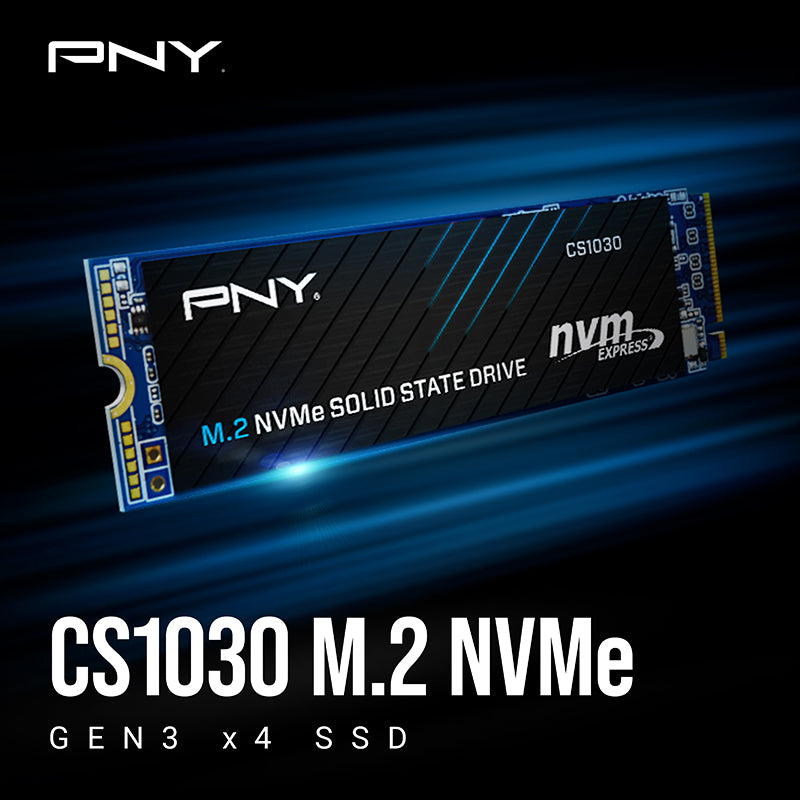 PNY - M.2 NVMe CS1030 250Go