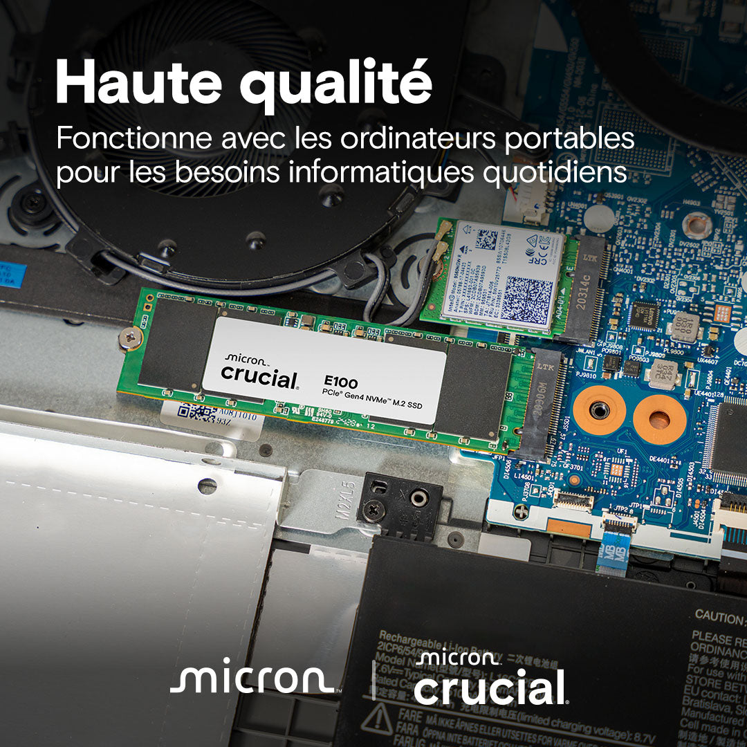 Crucial - M.2 NVMe E100 (Bulk) - 480Go / 1To