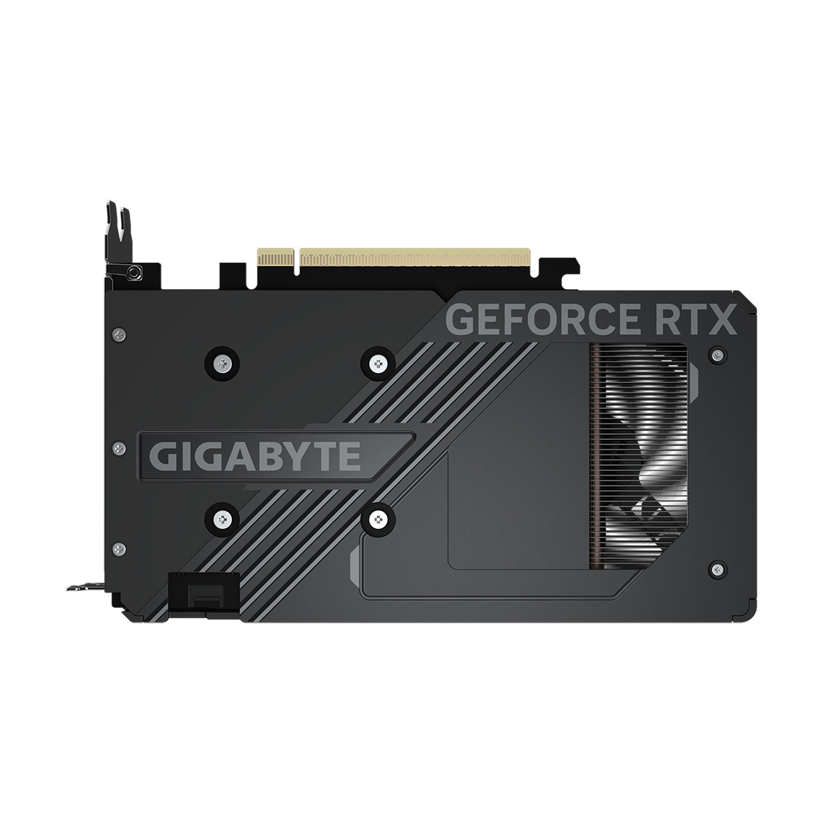 Gigabyte - Carte graphique GeForce RTX 5050 WINDFORCE OC 8G