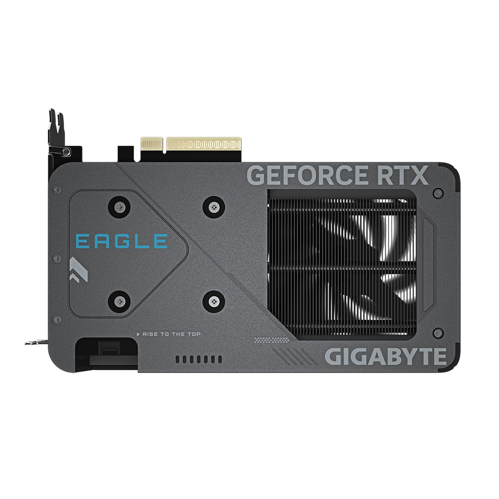 Gigabyte - Carte graphique GeForce RTX 5060 EAGLE OC 8G